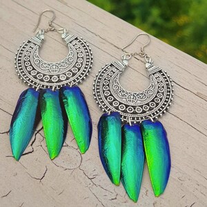 Jewel real beetle Wing Boho Earrings