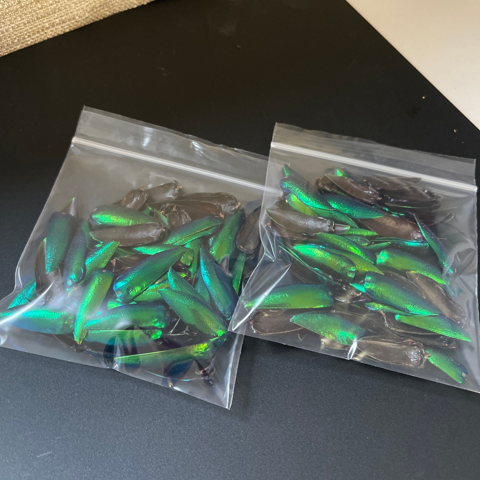 Ailes De Scarabée Sternocera X25 Pour Bijoux Et Création - Lot Neuf