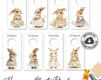 Cute Bunny Rabbit Nursery Closet Dividers, Printable Closet Dividers, Baby Closet Organizer, Boho Bunnies Decor, Digital Download