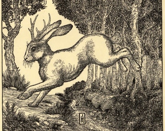 May include: A black and white woodcut illustration of a rabbit with antlers running through a forest. The text "The Great Howard Coney" is printed below the image.