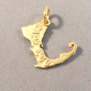 May include: A gold-colored charm in the shape of Cape Cod, with the words "CAPE COD" engraved on it. The charm has a loop at the top for attaching to a necklace or bracelet. The charm is made of a shiny, reflective metal.