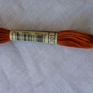 DMC mouliné 301