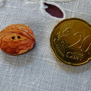 Nut Wood Button