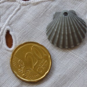 May include: A gold-colored 20 euro coin and a gray seashell on a white crocheted tablecloth.
