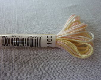 DMC Mouliné embroidery thread variation color 4160