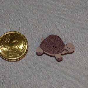 Op de afbeelding: Een bruine houten knoop in de vorm van een schildpad met een lichtbruine schild en een zwarte stip voor een oog.