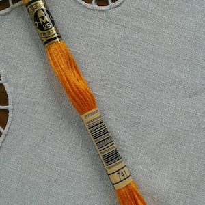 Peut inclure: Une bobine de fil à broder orange avec une étiquette indiquant "DMC 25 8m (8.7 yds) 741 21034638".