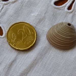 May include: A 20 euro cent coin and a small, light brown seashell with a hole drilled in the top.