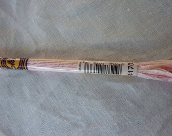 DMC mouliné borduurgaren kleurvariatie 4170