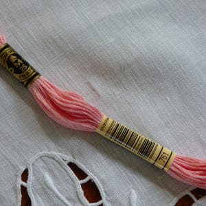 DMC mouliné 761