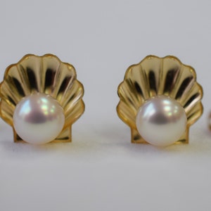 6.5x6mm Japanese Akoya Pearl in Shell Setting 14K Yellow Gold - Etsy