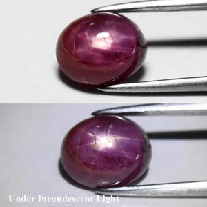 Genuine Earth Mined Ruby. 2.93cwt. Rare Untreated Star Ruby. 8.5x7x4.5mm. July Birthday. Canadian Seller. Gift of love.