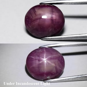 Peut inclure: Deux images d'une pierre précieuse ronde, polie, rouge-violacé, tenue par une pince. L'image du haut montre la pierre sous une lumière normale, tandis que l'image du bas, intitulée "Under Incandescent Light", révèle un effet d'étoile à six rayons.