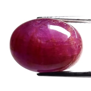 May include: A smooth, oval-cut ruby gemstone. The gem is a rich, dark red with a hint of purple, and it has a shiny surface. The ruby is held by silver tweezers against a white backdrop.