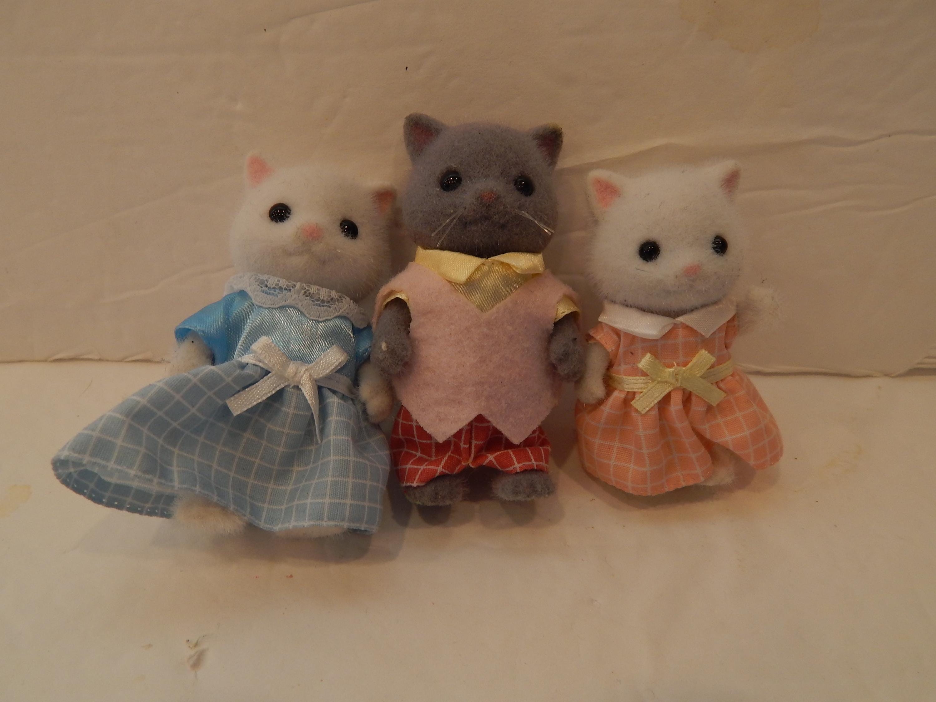 family cats　1001 51Qtu57n6oL.jpg_BO30,255,255,