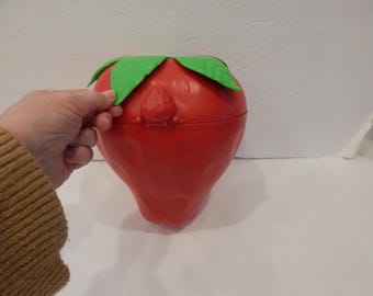 Vintage Strawberry Shortcake Carry Case for Four Dolls Kenner 1980