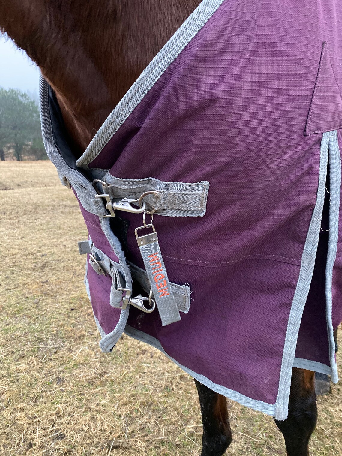Horse blanket tags Etsy