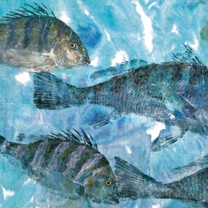 Spring Run Gyotaku fish print