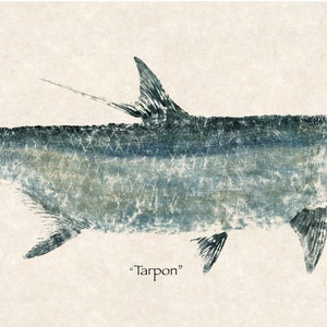 Life Size Limited Edition&quot; Tarpon &quot; gyotaku print
