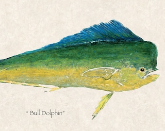 Life Size Limited Edition&quot; Bull Dolphin &quot; gyotaku print