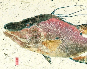 May include: A detailed illustration of a fish with a red and purple body, black head, and orange and teal fins. The artwork is on a textured, off-white background with small flecks. A red stamp is in the lower left corner.