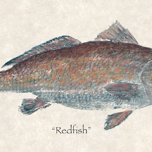 Limited edition &quot;Redfish &quot; gyotaku print