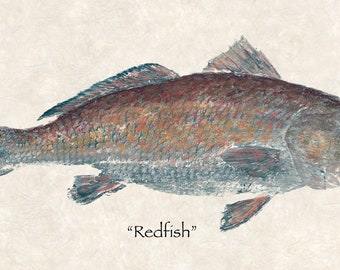 Limited edition &quot;Redfish &quot; gyotaku print
