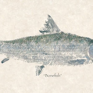 Limited Edition&quot; Bonefish &quot; large gyotaku print