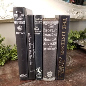 May include: A stack of six black hardcover books with white lettering on the spines. The titles include "The Amateur Gun-Craftsman", "Echoes from the Macabre", "The Black Stallion's Ghost", "The People's Common Sense Medical Adviser", and "The Listener".
