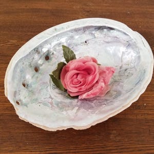 Large Vintage Abalone Natural Sea Shell Iridescent for Home Decor Unpolished