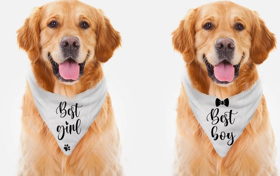 Best friend dog bandana hotsell