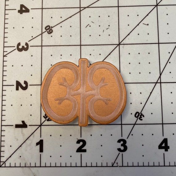 Kidney Silicone Mold, Epoxy Resin Molds, Badge Reel Keychain Mold