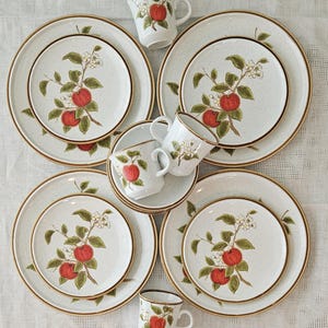 Anspruchsvolle Natürliche Schönheit.  16er Set, Service für 4, Vintage MIKASA Natural Beauty Holzapfel Geschirr. Essen, Salat, Tassen & Untertassen .