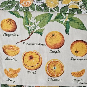 CITRUS.  New and Used Vintage Signed Lois Long Linen Kitchen Tea Towels (3) Made in USA.  Kay Dee Prints, FALLANI & Kohn. Sold Separately.