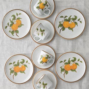 Immer SOMMER mit diesem Set von 12 schwer zu finden Vintage MIKASA Natural Beauty MARMALADE (Orangen) Geschirr. Salat, Tassen, Untertassen.