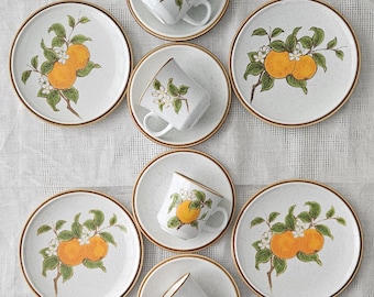 Always SUMMER with this Set of 12 Hard to Find Vintage MIKASA Natural Beauty MARMALADE (Oranges) Dinnerware. Salad, Cups, Saucers.