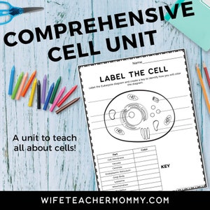 May include: A black and white printable worksheet with a diagram of a eukaryotic cell. The worksheet includes a table to label the parts of the cell and a key to identify how to colour the diagram. The text "LABEL THE CELL" is at the top of the worksheet.