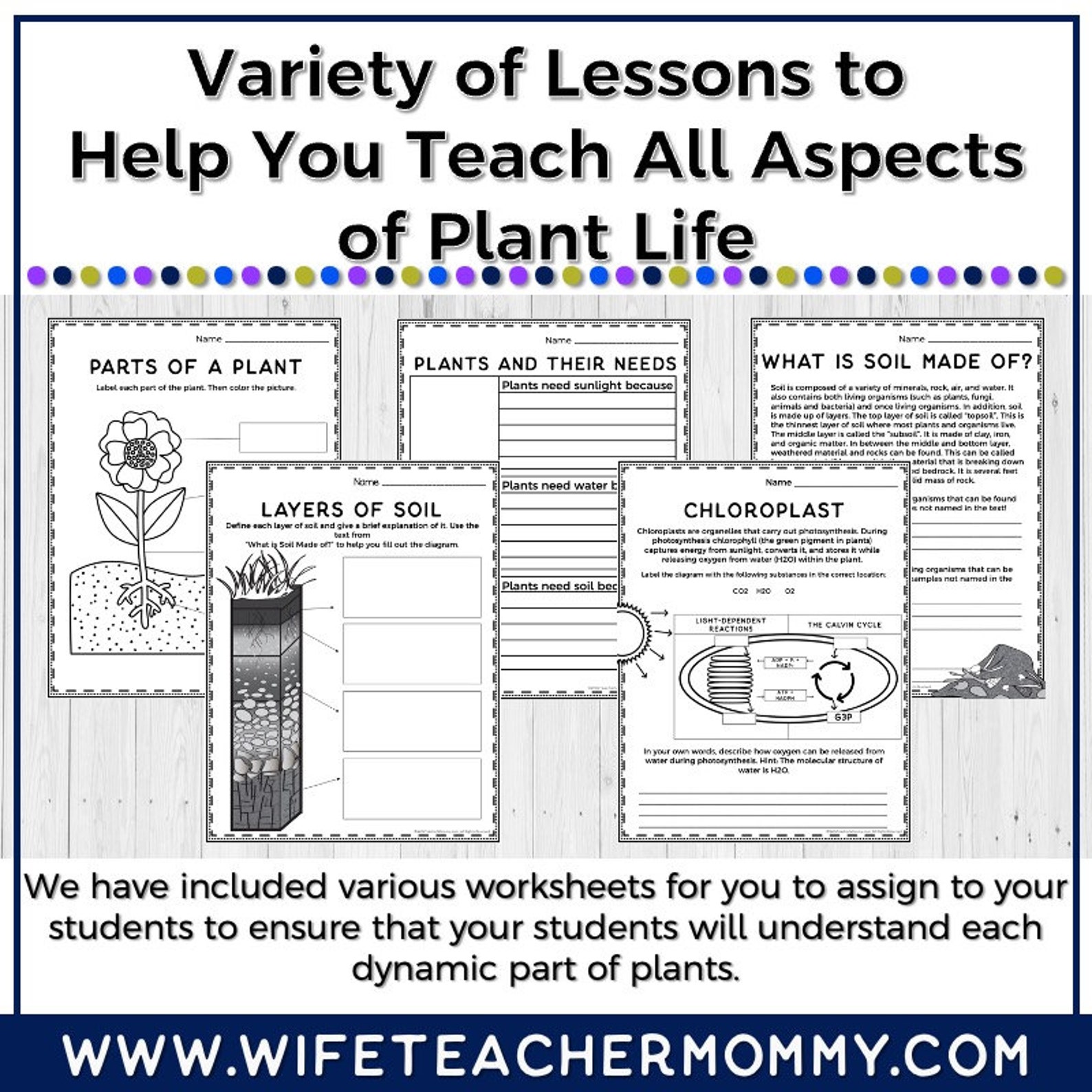 Upper Grades Plant & Botany Print Unit worksheets, Lesson Plans, Etc