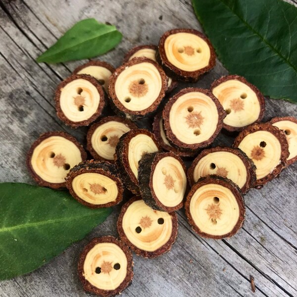 Boutons en bois de pin Bristlecone // Ensemble de 6 boutons de branches d’arbre // Boutons en bois faits à la main // Fabriqués au Canada