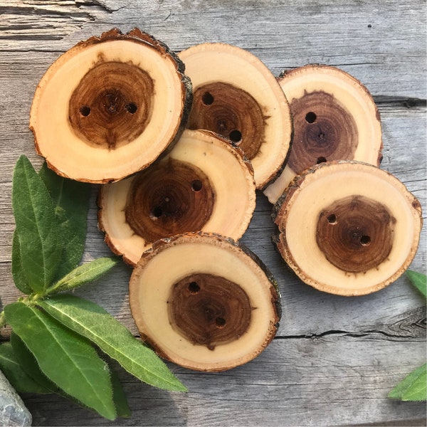 Balsam Poplar Wood Buttons // Set of 6 Wooden Buttons // Large Handmade Poplar Wood Buttons // Made in Canada