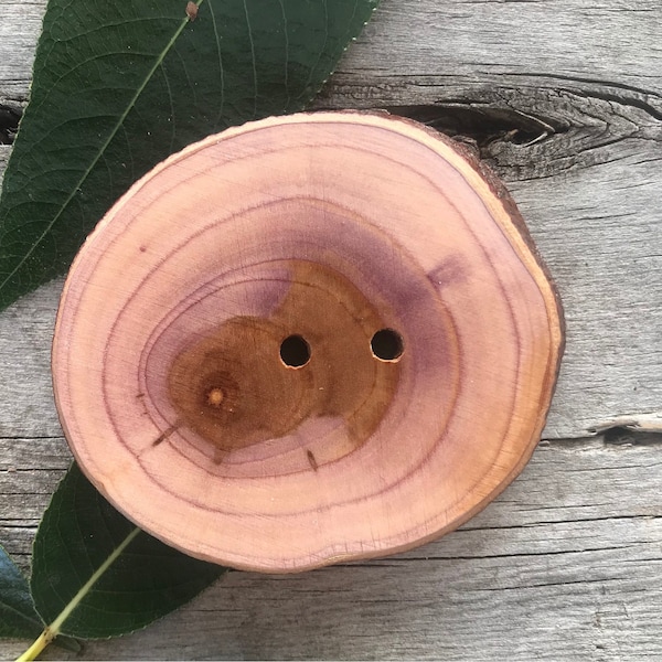 Apple Wood Statement Button // Extra large Wooden Button // Rustic Tree Branch Button // Natural Bark-on Button // Made in Canada