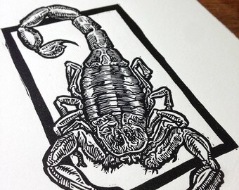 Scorpion print block print linocut printmaking bug creature art print