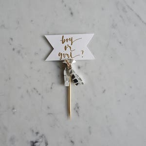 Mini Cake Topper / Gold Modern Kalligraphie / Handbeschriftet / Baby Reveal Junge oder Mädchen Geschlecht / Made-to-Order / Handgemachte Mini Quasten /