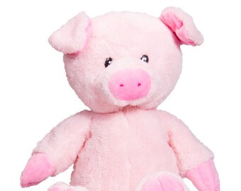 teddy bear you can record your voice