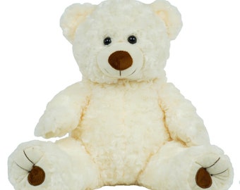 teddy bear with personal voice message