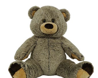 stuffed bear record voice