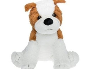 american bulldog teddy