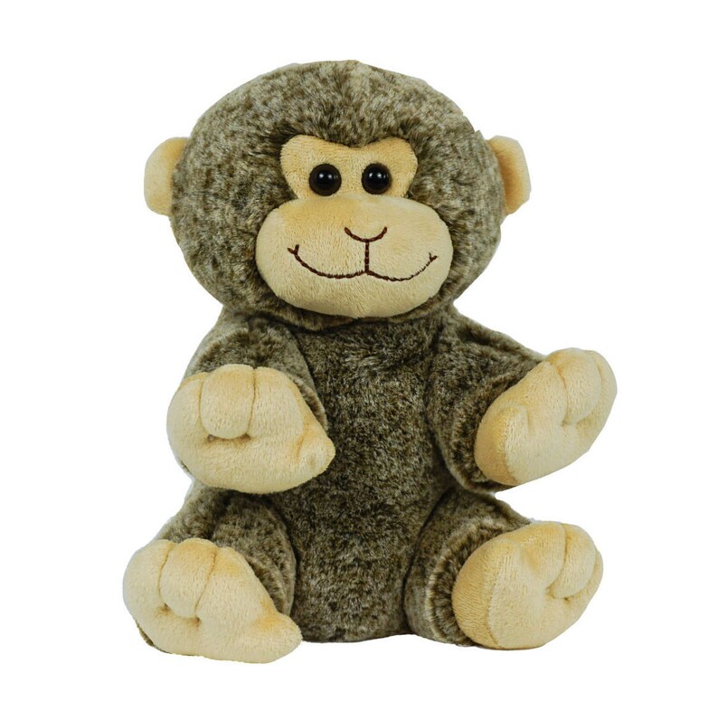stuffed animal recorder