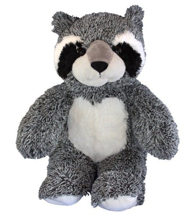 teddy bear with recordable message