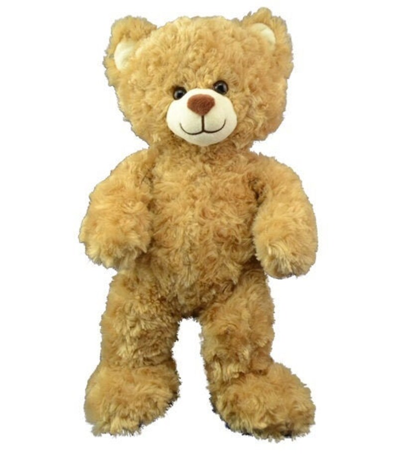 recordable teddy bear